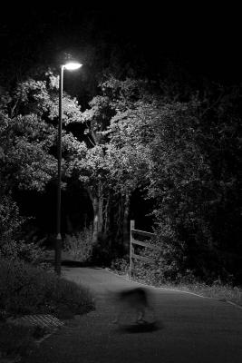Nightlife*