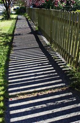 Shadow Fence II *