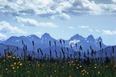 Blue Mountains, Green Meadows *