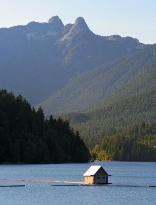 The Hermit's Residence  *  Traveller
