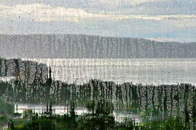 Rainy day *