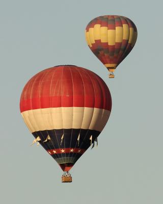Baloons at Sunset