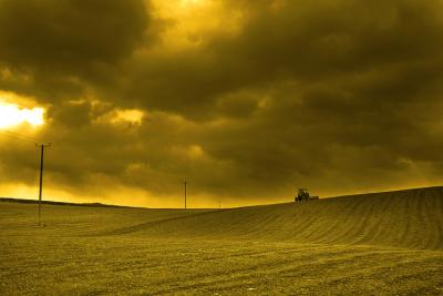 9th: Field and Tractor *