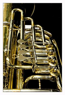 Brassy*