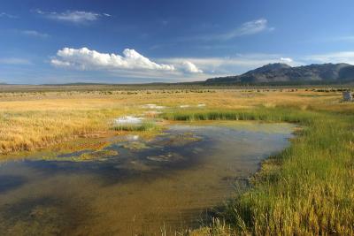 On Golden Pond