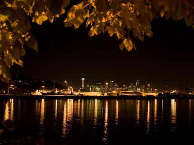 Seattle from Magnolia*