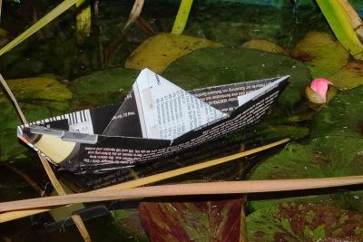 Ship In The Jungle*