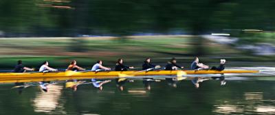 Sculling