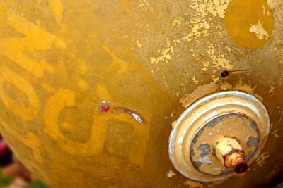 Yellow Buoy *
