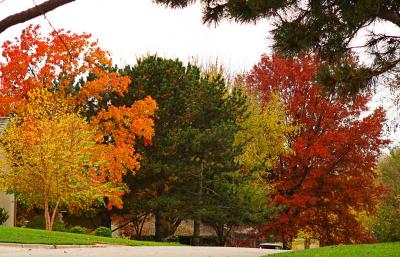 Between Summer and Fall