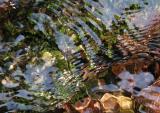Ripples