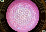 Standing Waves *