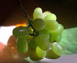 A Grouping Of Grapes *