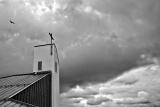 A church of clouds *