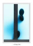 A Step of Two*<br><i>by Michael Soo</i><br>9th Place tie
