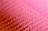 An Illumination of Pipettes *