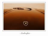 Lamborghini*<br><i>by Michael Soo</i><br>5th Place