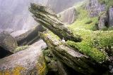 Puffin on Skellig Michael  *