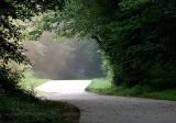 Into the Light