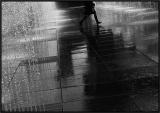 Reverse Rain<br>5th Place