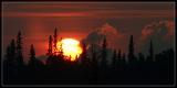 <B>Alaskan Sunset</b> *