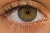 Paola eye