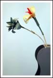 Fake Flowers in the Hallway  *