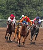 Horse Race *