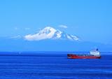 Red On Blue *  Traveller
