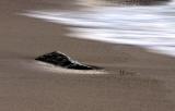 Stone and Surf *