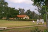 Lawn bowling.jpg