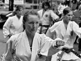Scandinavian ladies *