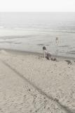 Beach Games *