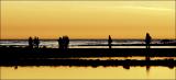 California Gold