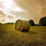 Rolling (*)