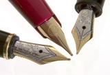 <B>Nibs</b>