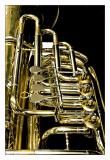 Brassy*