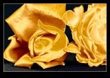 Golden Beauties *