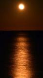 Golden Waters