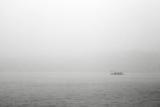 Afternoon Fog *