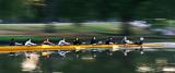 Sculling