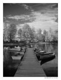 <b>8th Place (tie)</b><br><i>Alpine Lake Dock*</i><br>by Roberta Fair