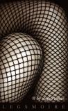 <b>8th Place</b><br><i>legsmoire<br></i>by sergio rojkes