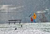 <b>4th Place (tie)</b><br><i>Snow storm</i><br>by Moti