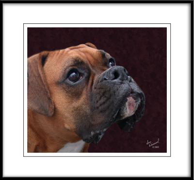 Bowser's Formal Portrait