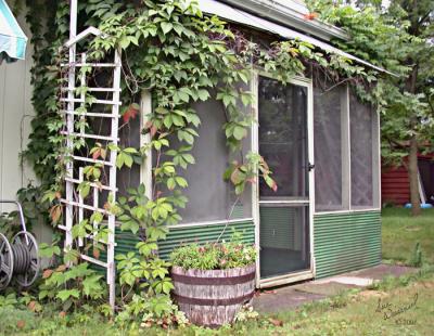 The Back Porch