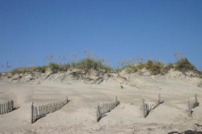 The Dunes and the Moon