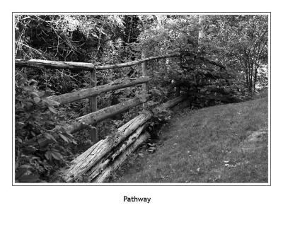 fenceline pathway
