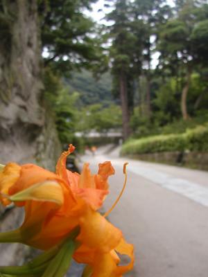 kita-kamakura 017.jpg