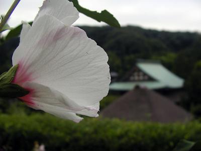 v3/36/457736/3/48816684.kitakamakura028.jpg